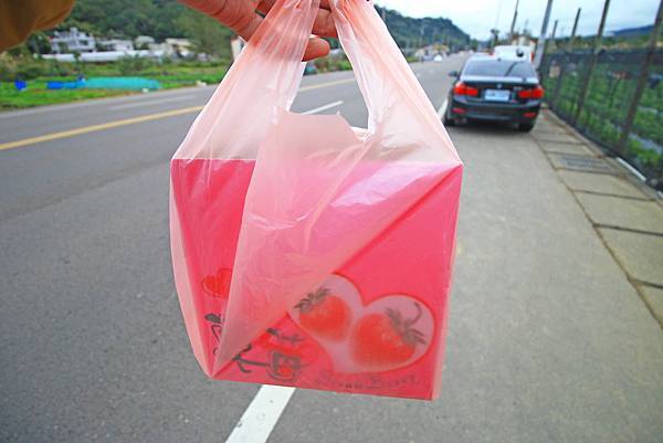 【新竹旅遊】2017長鑫莓果農園-採草莓季來囉!