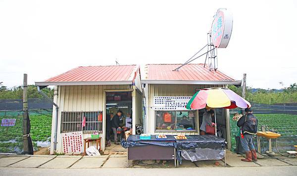 【新竹旅遊】2017長鑫莓果農園-採草莓季來囉! 【新竹旅遊】2017長鑫莓果農園-採草莓季來囉!