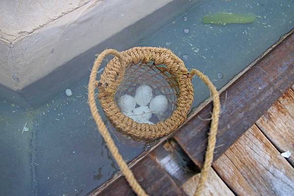 【宜蘭旅遊】太平山鳩之澤溫泉-溫泉煮蛋泡湯一日遊