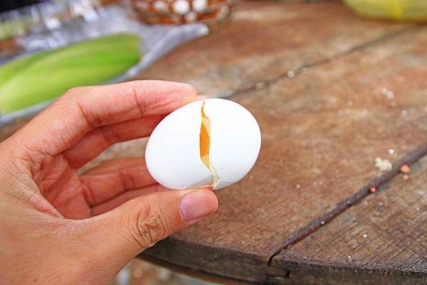 【宜蘭旅遊】太平山鳩之澤溫泉-溫泉煮蛋泡湯一日遊