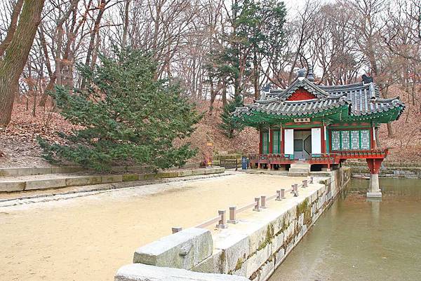【韓國首爾】昌德宮與秘苑(後苑)-造訪韓國君王的後花園