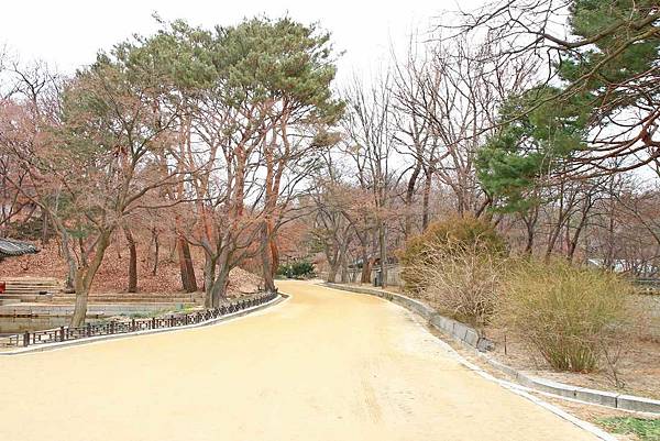 【韓國首爾】昌德宮與秘苑(後苑)-造訪韓國君王的後花園