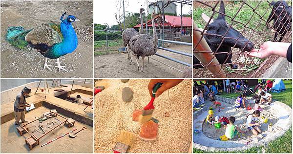 【台北一日遊】十三行博物館+台灣山豬城-親子同樂旅遊景點 【台北一日遊】十三行博物館+台灣山豬城-親子同樂旅遊景點