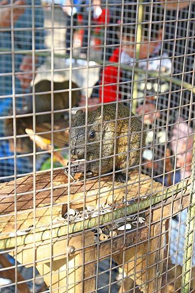 【台中二天一夜旅遊】必玩十大特色觀光景點、好玩的行程規劃、包車自由行 【台中二天一夜旅遊】必玩十大特色觀光景點、好玩的行程規劃、包車自由行