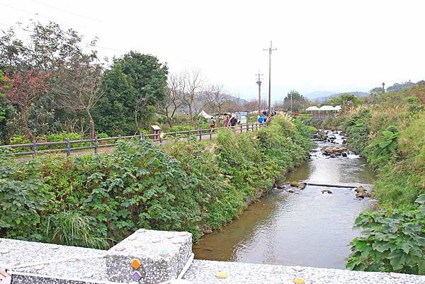 【台北旅遊】三芝三生步道-長達1公里長的櫻花步道