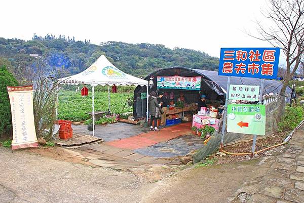 【台北旅遊】三芝三生步道-長達1公里長的櫻花步道