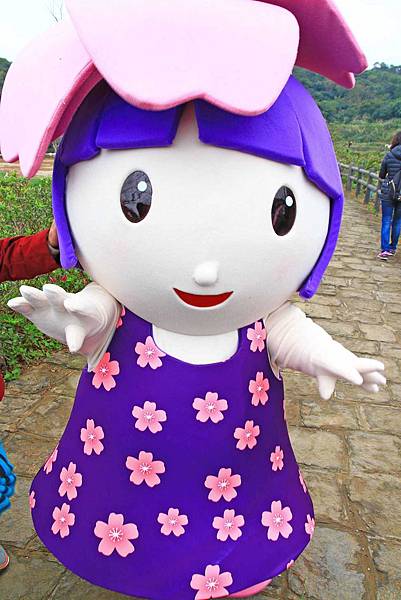 【台北旅遊】三芝三生步道-長達1公里長的櫻花步道