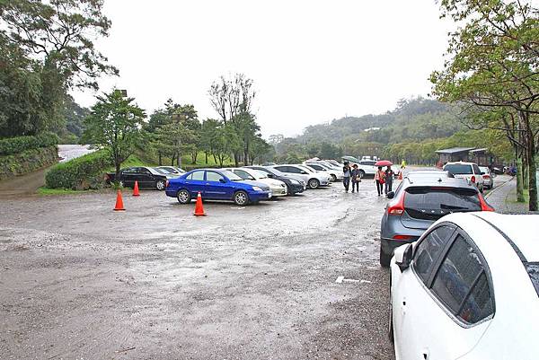 【台北旅遊】法鼓山祈願步道-滿山滿谷的杜鵑花
