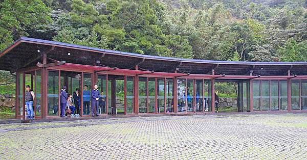 【台北旅遊】法鼓山祈願步道-滿山滿谷的杜鵑花