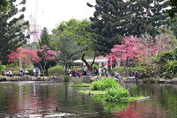【台北旅遊】中正紀念堂-坐捷運就能看到櫻花