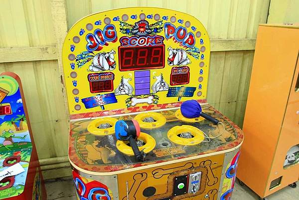 【桃園景點】向陽農場-免費入場觀賞大片花海與親子活動