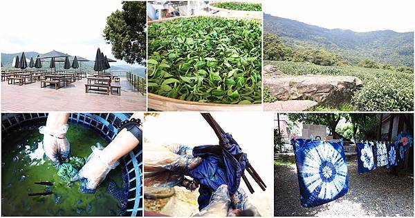 【新北市一日遊】三峽熊空茶園+三峽藍染工坊DIY-三峽景點一日遊 【新北市一日遊】三峽熊空茶園+三峽藍染工坊DIY-三峽景點一日遊