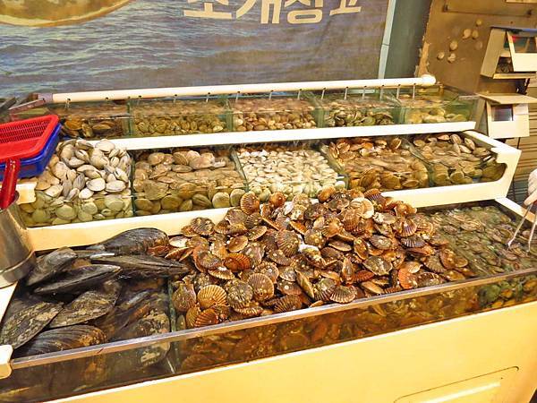 【韓國美食】貝殼倉庫조개창고-活生生比手還要大的海鮮吃到飽