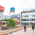 【仙台五天四夜自由行程】美食餐廳、旅遊景點、露天溫泉景點、住宿飯店、溫泉飯店完整行程規劃懶人包