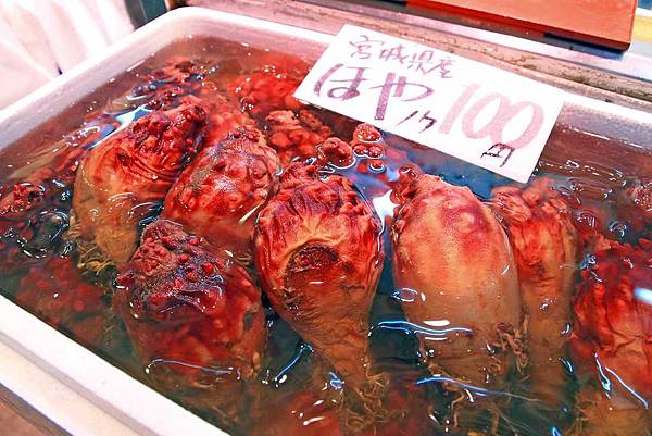 【仙台五天四夜自由行程】美食餐廳、旅遊景點、露天溫泉景點、住宿飯店、溫泉飯店完整行程規劃懶人包