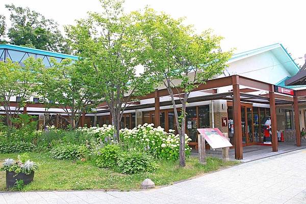 【仙台五天四夜自由行程】美食餐廳、旅遊景點、露天溫泉景點、住宿飯店、溫泉飯店完整行程規劃懶人包