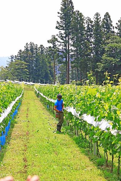 【仙台五天四夜自由行程】美食餐廳、旅遊景點、露天溫泉景點、住宿飯店、溫泉飯店完整行程規劃懶人包
