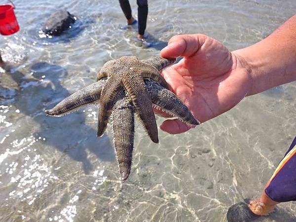 【澎湖旅遊】吉貝八合一水上活動-1日遊行程 【澎湖旅遊】吉貝八合一水上活動-1日遊行程