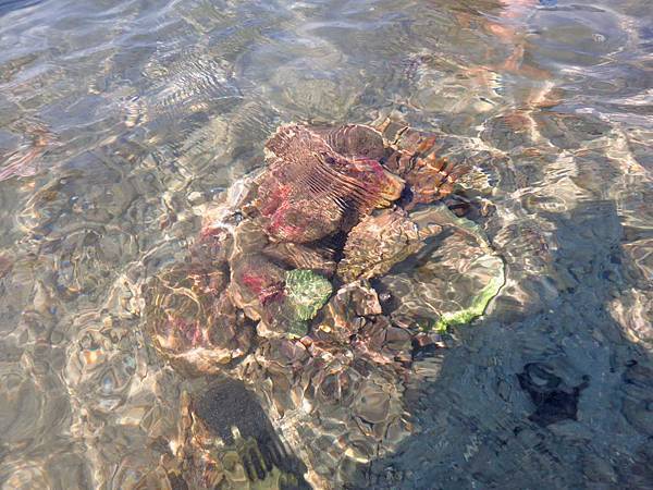 【澎湖旅遊】吉貝八合一水上活動-1日遊行程 【澎湖旅遊】吉貝八合一水上活動-1日遊行程