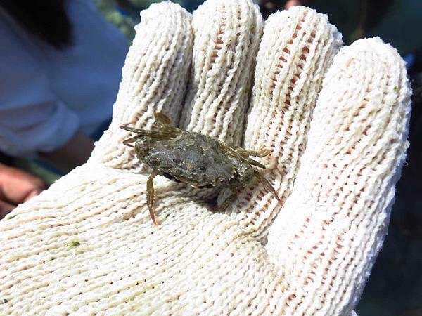 【澎湖旅遊】吉貝八合一水上活動-1日遊行程 【澎湖旅遊】吉貝八合一水上活動-1日遊行程