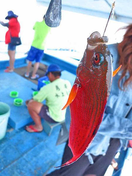【澎湖旅遊】吉貝八合一水上活動-1日遊行程 【澎湖旅遊】吉貝八合一水上活動-1日遊行程