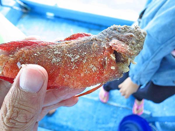 【澎湖旅遊】吉貝八合一水上活動-1日遊行程 【澎湖旅遊】吉貝八合一水上活動-1日遊行程