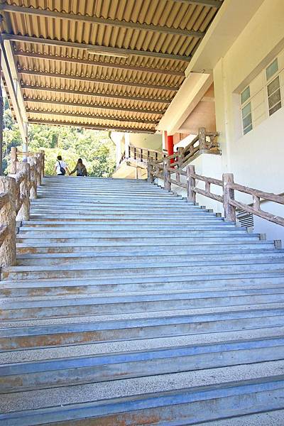 【台北旅遊】雲仙樂園-全台唯一開車到不了的遊樂園