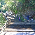 【台北旅遊】雲仙樂園-全台唯一開車到不了的遊樂園