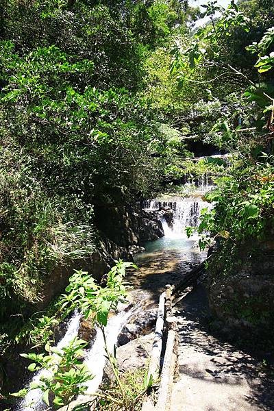 【台北旅遊】雲仙樂園-全台唯一開車到不了的遊樂園