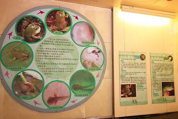 【台北旅遊】雲仙樂園-全台唯一開車到不了的遊樂園