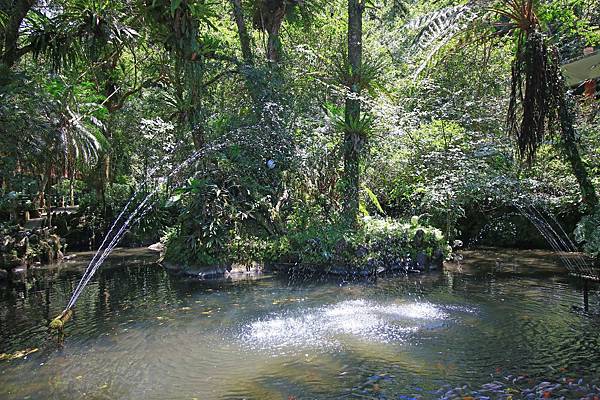 【台北旅遊】雲仙樂園-全台唯一開車到不了的遊樂園