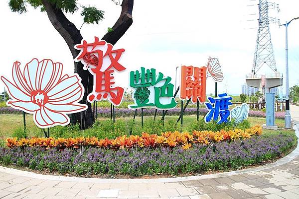 驚艷關渡花現新大地2017關渡花海節-美麗動人的花海景觀