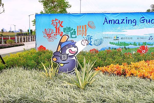 驚艷關渡花現新大地2017關渡花海節-美麗動人的花海景觀