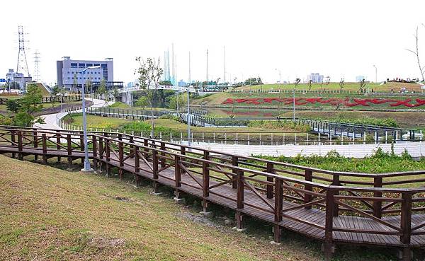 驚艷關渡花現新大地2017關渡花海節-美麗動人的花海景觀
