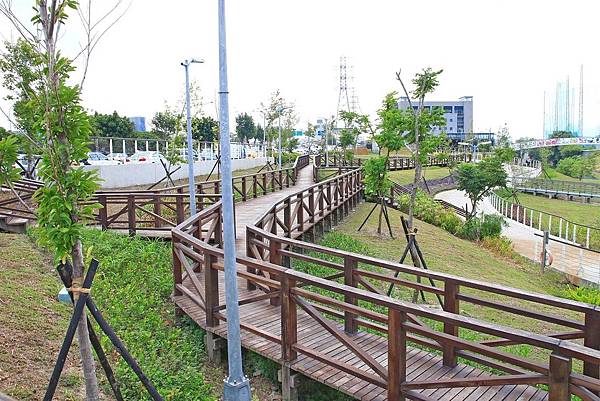 驚艷關渡花現新大地2017關渡花海節-美麗動人的花海景觀