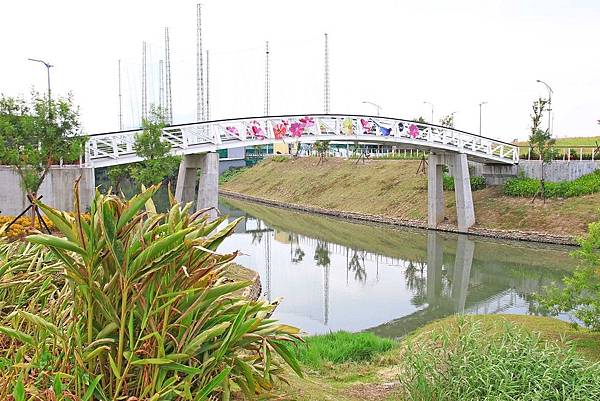 驚艷關渡花現新大地2017關渡花海節-美麗動人的花海景觀