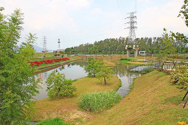 驚艷關渡花現新大地2017關渡花海節-美麗動人的花海景觀