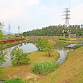 驚艷關渡花現新大地2017關渡花海節-美麗動人的花海景觀