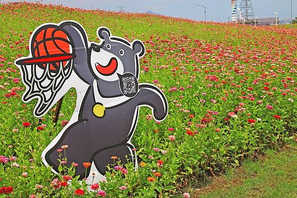 驚艷關渡花現新大地2017關渡花海節-美麗動人的花海景觀