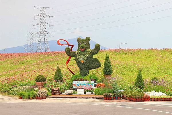 驚艷關渡花現新大地2017關渡花海節-美麗動人的花海景觀