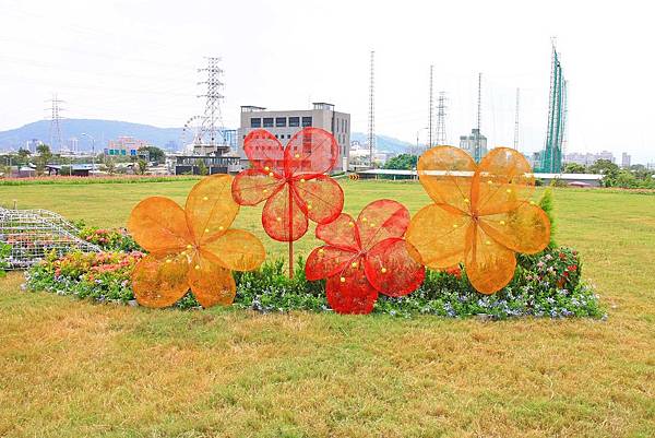 驚艷關渡花現新大地2017關渡花海節-美麗動人的花海景觀