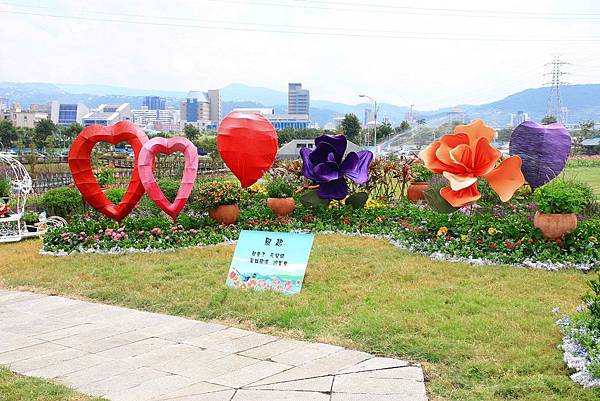 驚艷關渡花現新大地2017關渡花海節-美麗動人的花海景觀