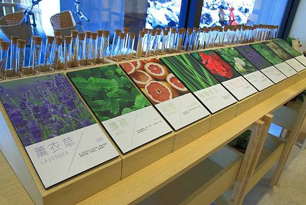 【台中旅館】草悟道住宿綠宿行旅Green Hotel-與大自然融為一體的綠色旅館