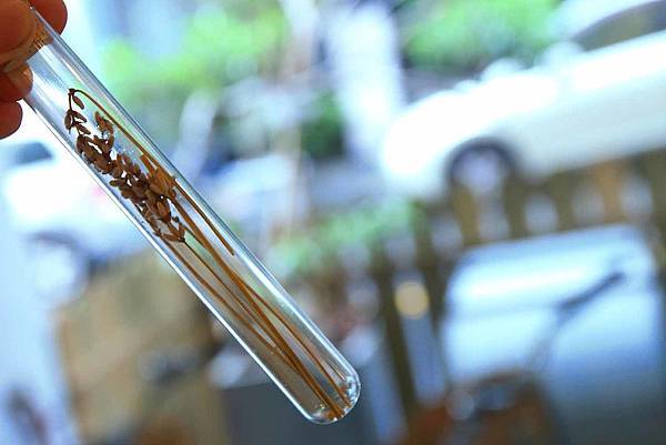 【台中旅館】草悟道住宿綠宿行旅Green Hotel-與大自然融為一體的綠色旅館