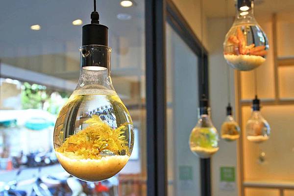 【台中旅館】草悟道住宿綠宿行旅Green Hotel-與大自然融為一體的綠色旅館