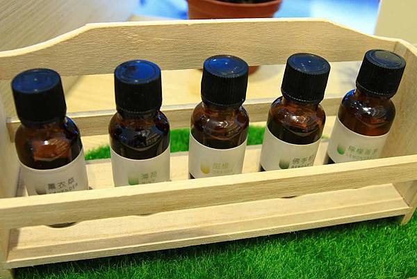 【台中旅館】草悟道住宿綠宿行旅Green Hotel-與大自然融為一體的綠色旅館