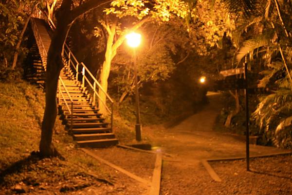 【台北旅遊】福州山公園-仰望美麗的台北101夜景