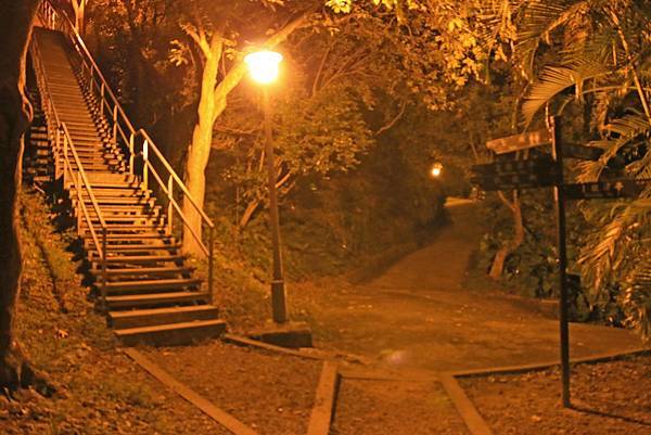 【台北旅遊】福州山公園-仰望美麗的台北101夜景