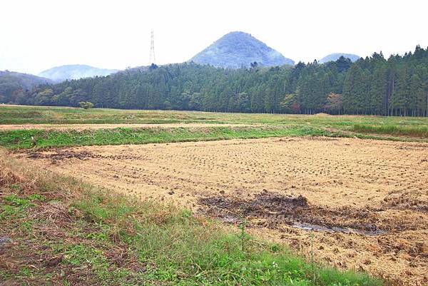 【仙台、山形縣五天四夜自由行程】美食餐廳、在地人文旅遊景點、庭園式景點、、河上芭蕉船、輕遊腳踏車、、必玩水族館、住宿飯店完整行程規劃懶人包