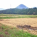 【仙台、山形縣五天四夜自由行程】美食餐廳、在地人文旅遊景點、庭園式景點、、河上芭蕉船、輕遊腳踏車、、必玩水族館、住宿飯店完整行程規劃懶人包